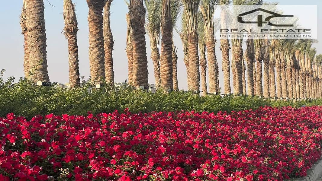 12 WhatsApp Image 2025-10-24 at 13.21. 21 (1). jpeg