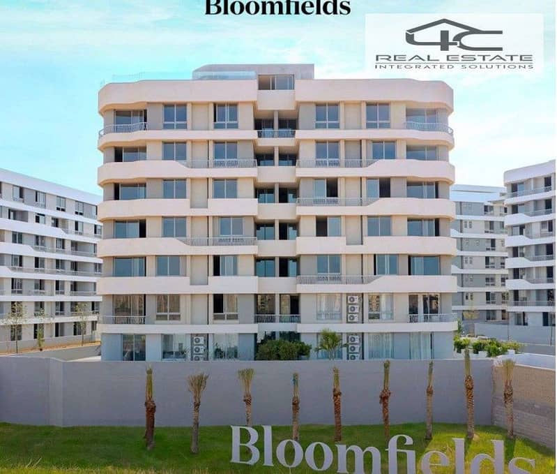 4 Screenshot 2025-10-15 055843. jpg