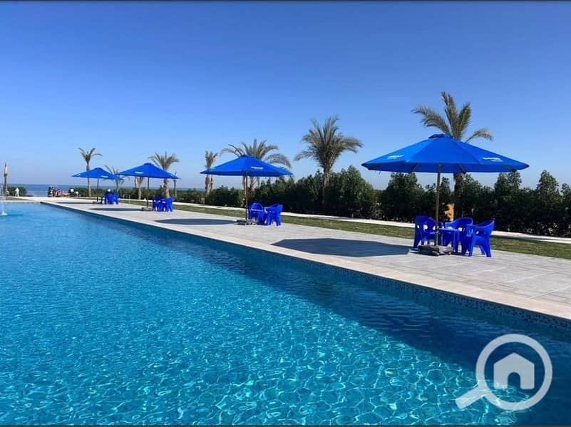 8 55daa6ce-75ab-4aaa-99a8-13d57e6223b5. jpg