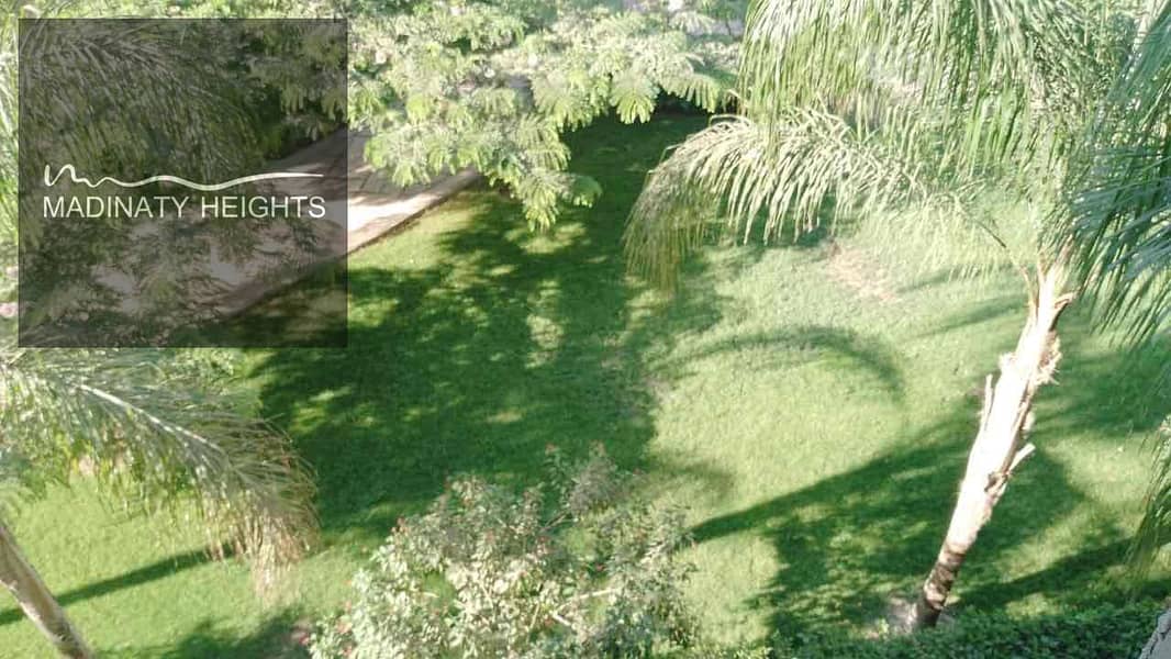 5 8c990c03-2558-45ab-a1d7-845b00ca331f. jpg