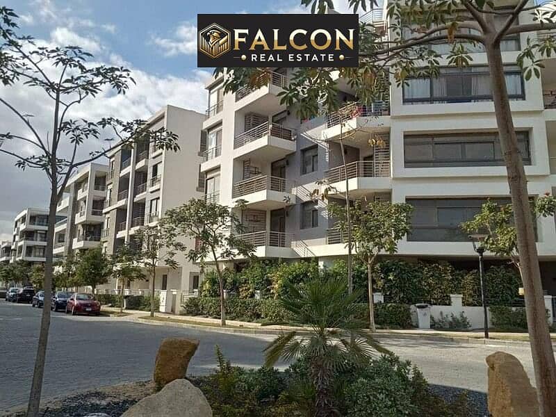 13 f006de32-b861-4c4f-8df2-2a8d2008c2e3. jpg