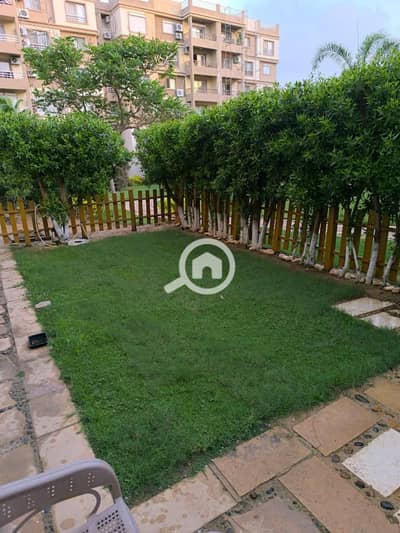 2 Bedroom Flat for Rent in Madinaty, Cairo - 063907c8-231b-41a7-abc7-bb7cd2dcd420. jpg 2 Bedroom Flat for Rent in Madinaty, Cairo - 063907c8-231b-41a7-abc7-bb7cd2dcd420. jpg