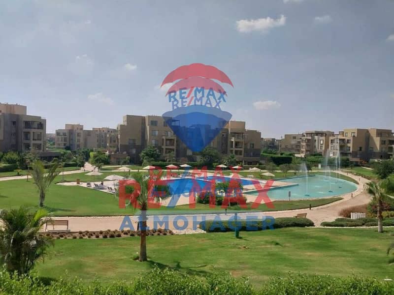 PALMMM. png PALMMM. png