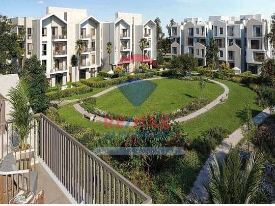 zayed. png zayed. png