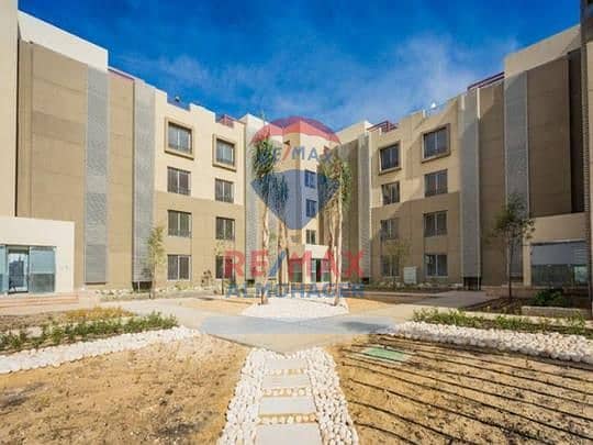 4 d7c06a62-879b-4290-b0ea-71cd25531885. jpg