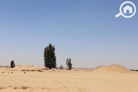 أرض سكنية  للبيع في 6 أكتوبر، الجيزة - IMG_0229. JPG