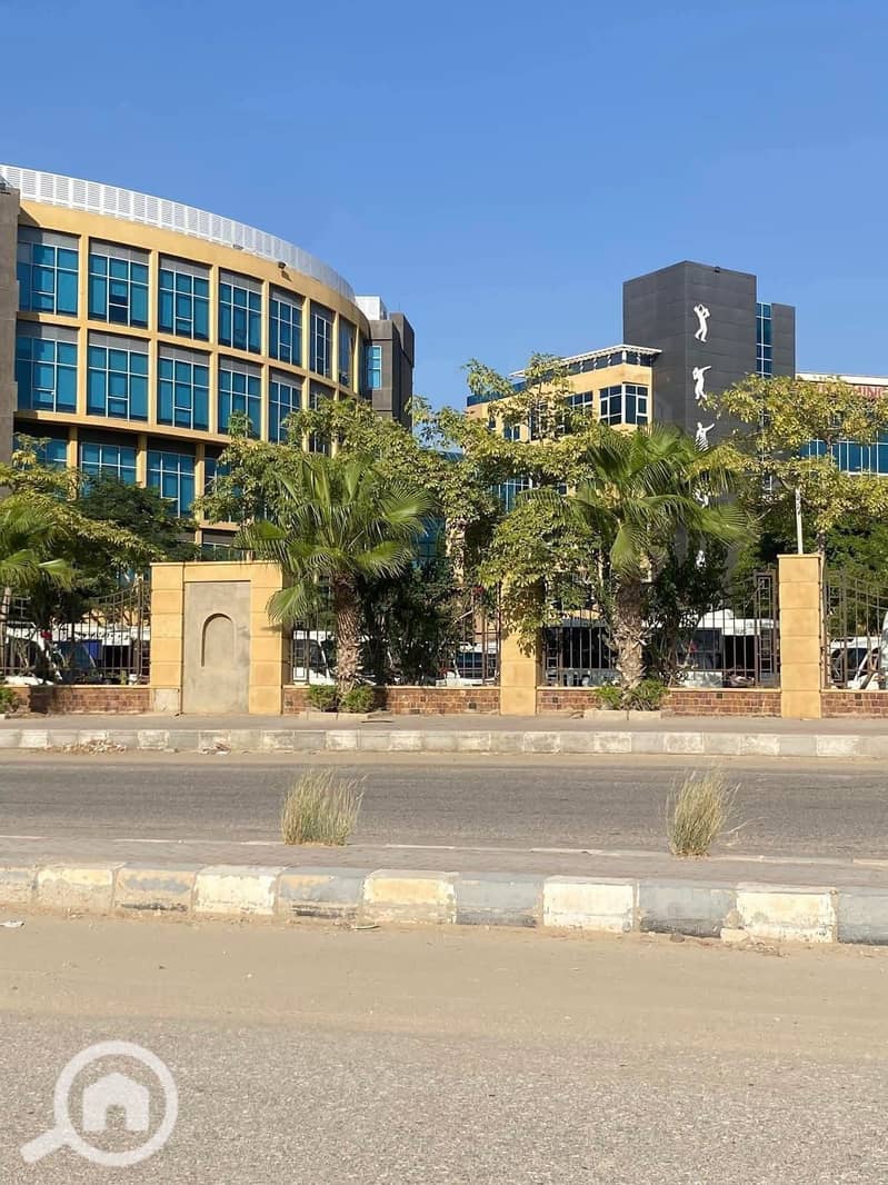 3 557585269_122265120098062265_9147825751411090193_n. jpg