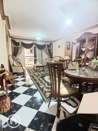 2 Bedroom Apartment for Rent in Miami, Alexandria - 1b889f96-159d-4a61-b58f-cce785a04591. jpg