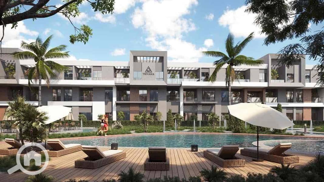 5 118cf105-d6c6-40e9-b261-824d581b99b4. jpg