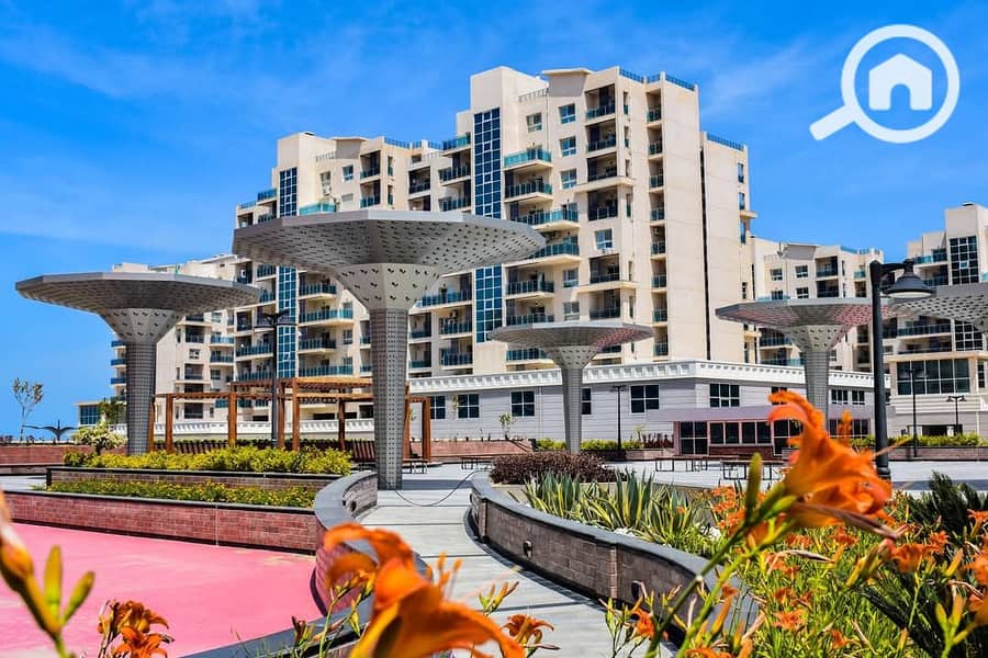 6 WhatsApp Image 2025-10-21 at 1.43. 52 PM (2). jpeg