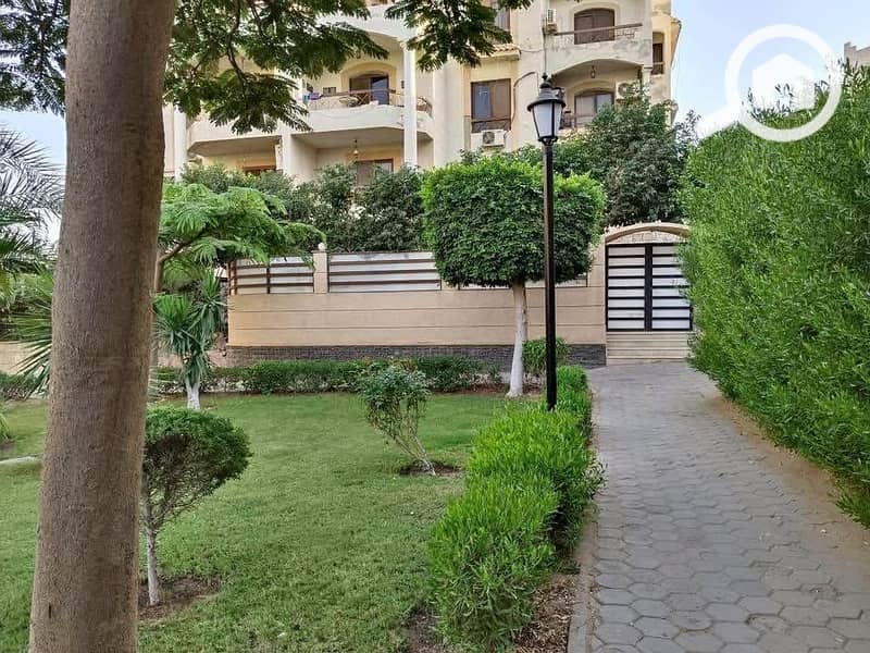 8 495589311_1078948904067215_857052083984620463_n. jpg