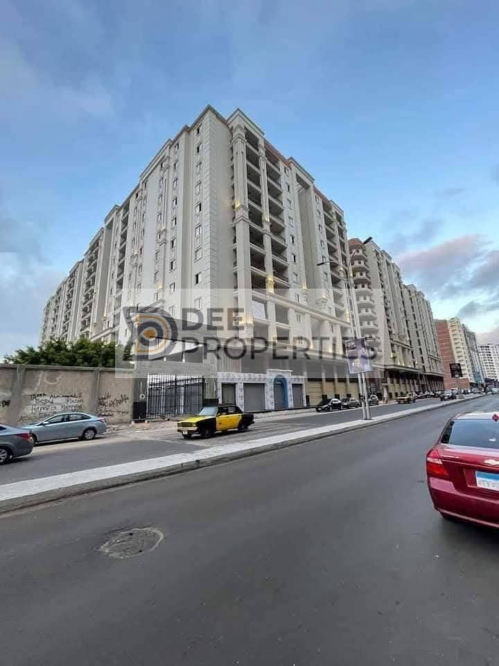 3 WhatsApp Image 2025-02-06 at 12.14. 36 PM. jpeg