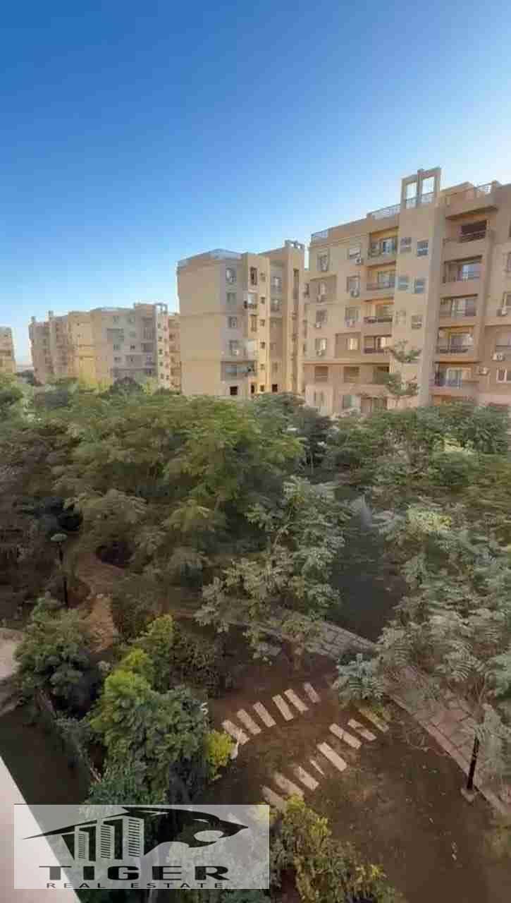 1000504019. jpg 1000504019. jpg