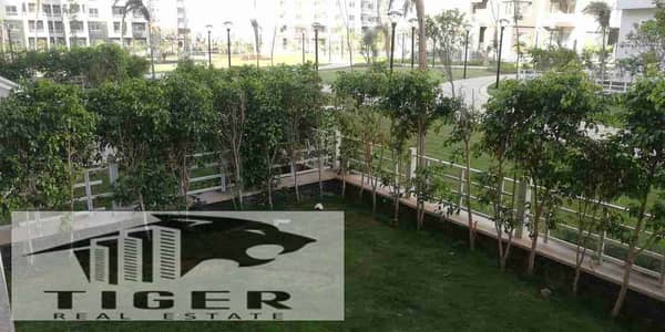 فلیٹ 3 غرف نوم للبيع في مدينتي، القاهرة - 1000504070. jpg فلیٹ 3 غرف نوم للبيع في مدينتي، القاهرة - 1000504070. jpg