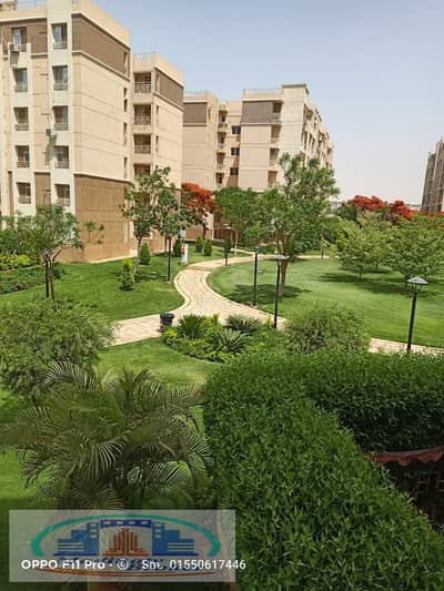 شقة 2 غرفة نوم للايجار في مدينتي، القاهرة - WhatsApp Image 2025-10-25 at 2.06. 09 PM (1). jpeg