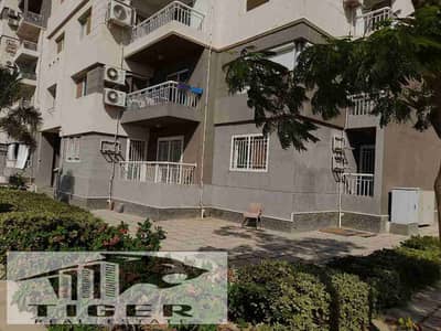 3 Bedroom Flat for Sale in Madinaty, Cairo - 1000379879. jpg