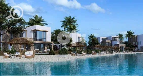 6 24090804-400x300. jpeg