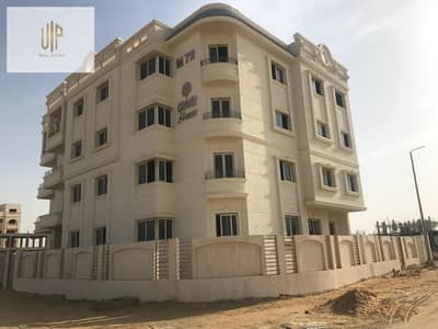 3 Bedroom Flat for Sale in New Cairo, Cairo - IMG-20251025-WA1191. jpg 3 Bedroom Flat for Sale in New Cairo, Cairo - IMG-20251025-WA1191. jpg