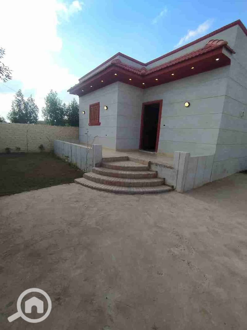 7 75345. jpg