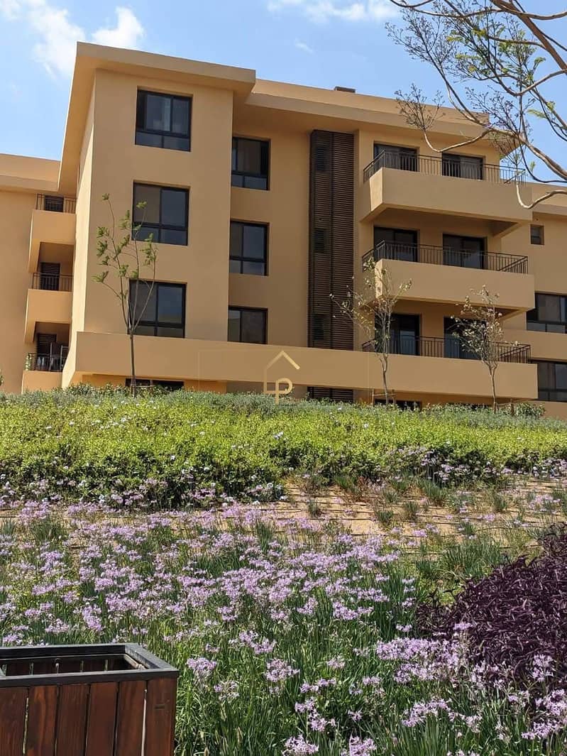 7 552927316_10233012013416448_889756537739110335_n. jpg