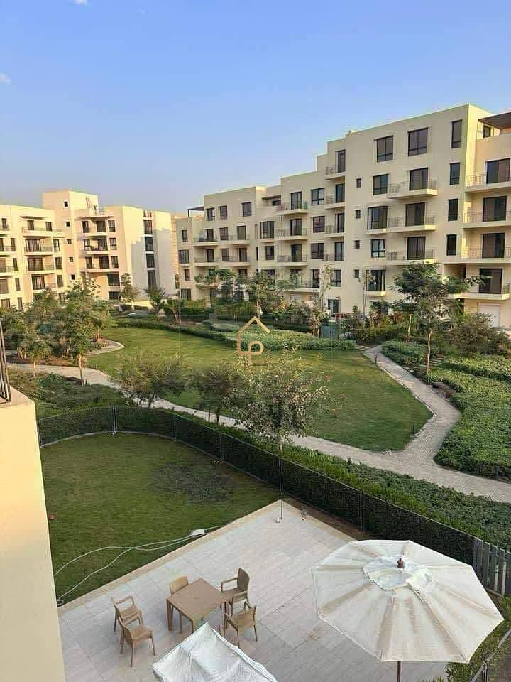 8 553069369_10233012005656254_7859698732897649370_n. jpg