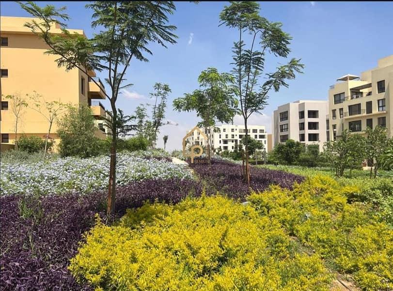 9 560022169_686371467846809_3282897918276303353_n. jpg