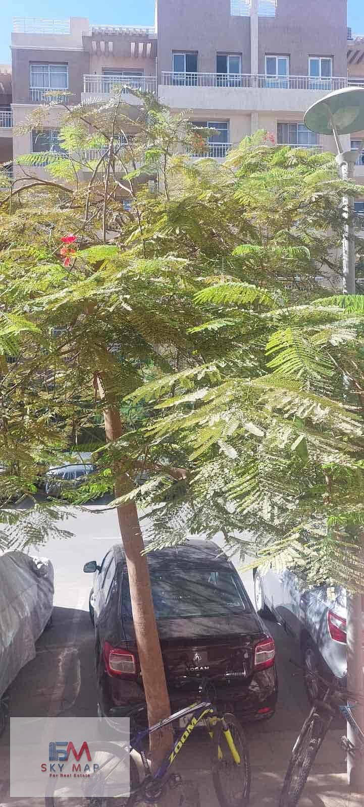 5 f9774dd8-211f-4846-8395-70f37ad0b5e3. jpg