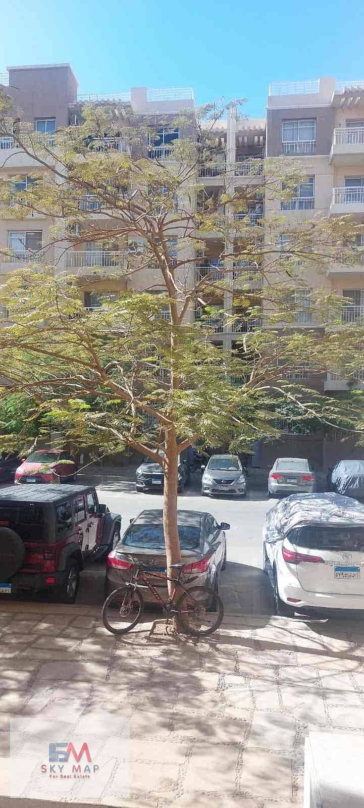 12 a3bd7afb-8124-41bd-87cd-e599859bf424. jpg