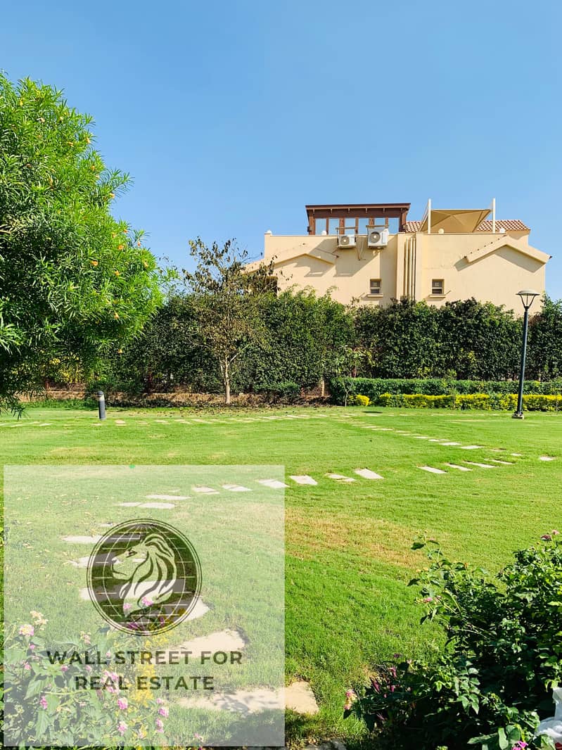 IMG_9734. jpeg IMG_9734. jpeg