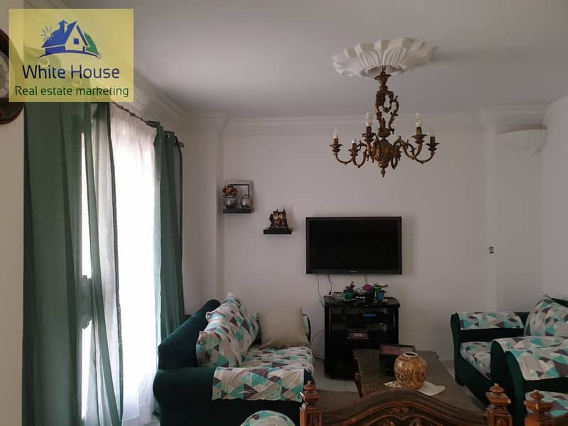 4 WhatsApp Image 2025-10-25 at 10.12. 38 AM (2). jpeg