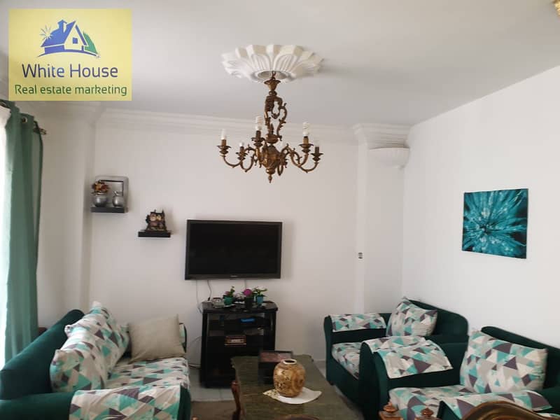 5 WhatsApp Image 2025-10-25 at 10.12. 38 AM (1). jpeg