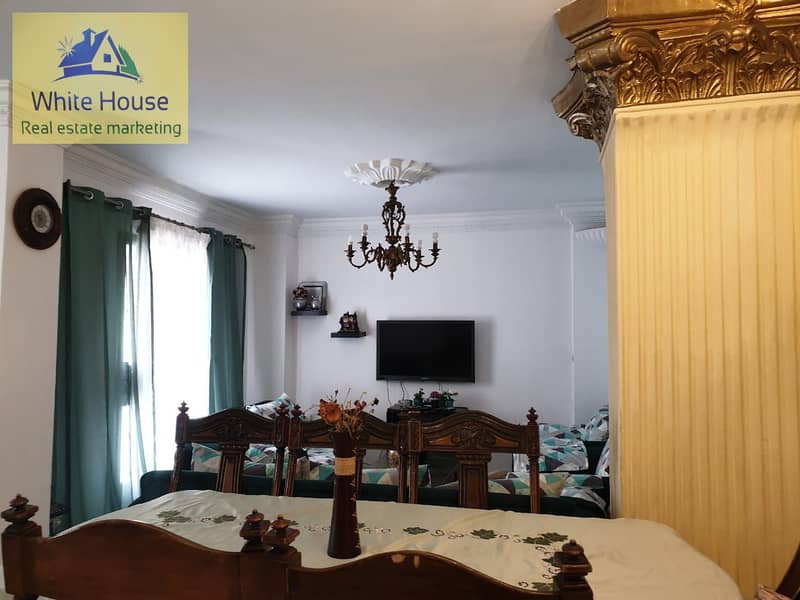 7 WhatsApp Image 2025-10-25 at 10.12. 37 AM (2). jpeg