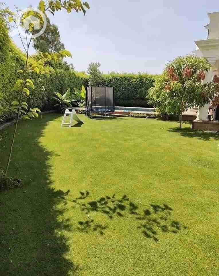 8 IMG-20251017-WA0051. jpg