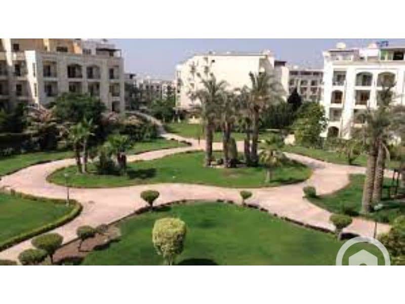 7 download. . . . . jpg