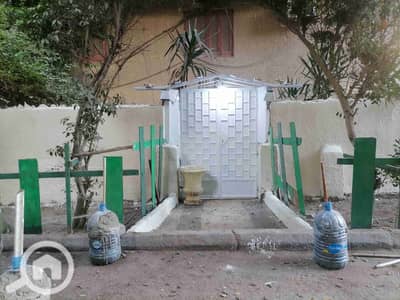 شقة 3 غرف نوم للايجار في المعادي، القاهرة - IMG_20251020_162931. jpg