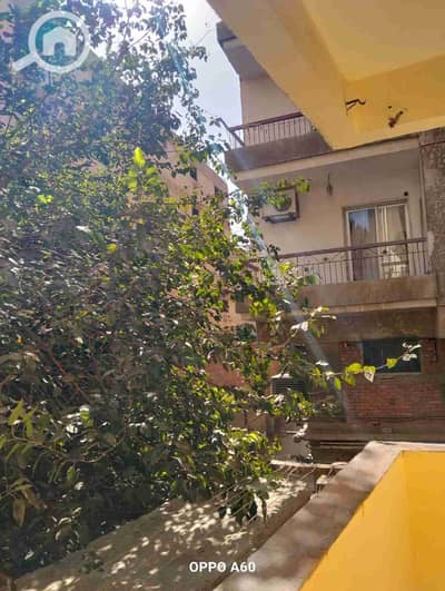 2 Bedroom Apartment for Rent in Maadi, Cairo - IMG-20251023-WA0031. jpg
