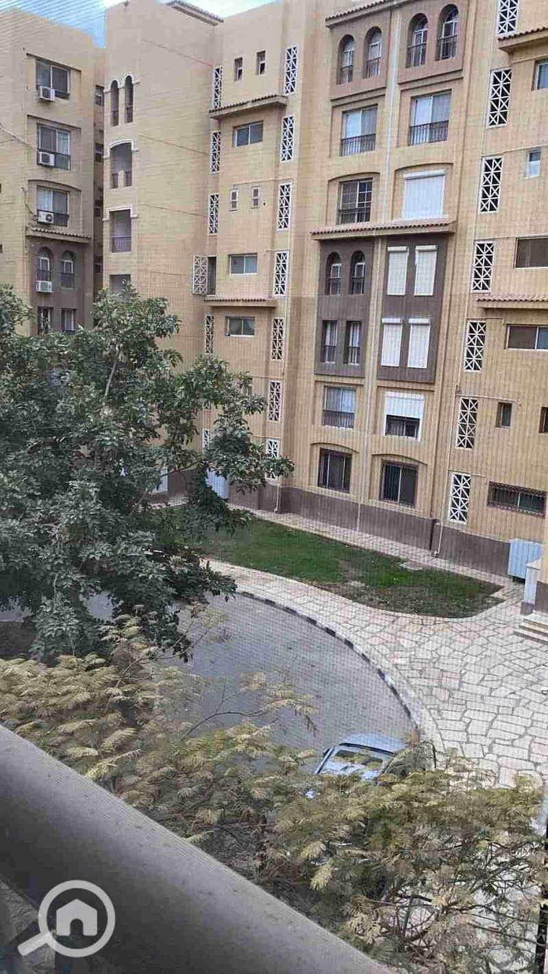 6 1000557739. jpg