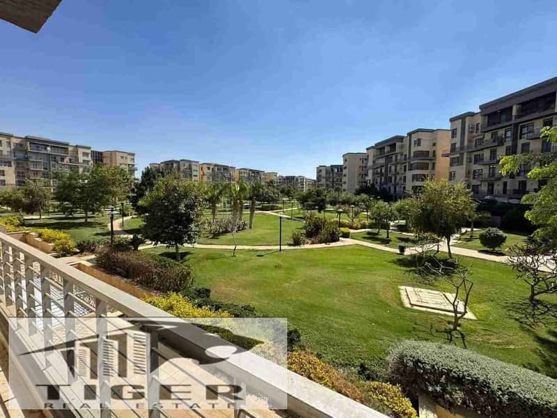 1000049409. jpg 1000049409. jpg