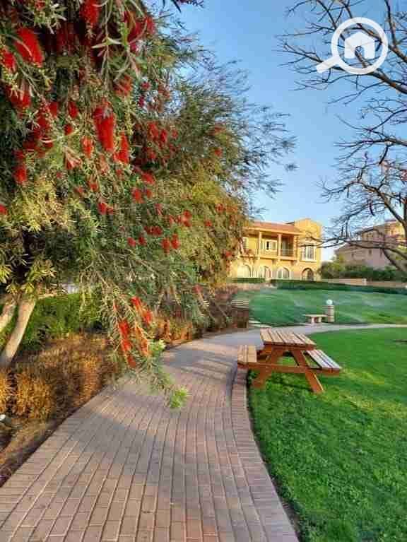 1000469344. jpg 1000469344. jpg