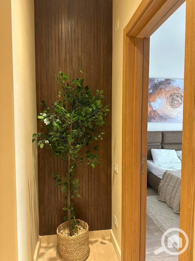 7 67ba8b47-d809-4d79-b06c-1d092c490a23. jpg