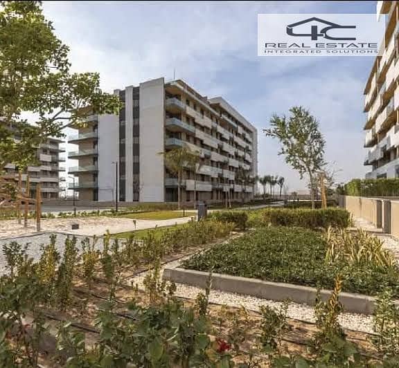 7 WhatsApp Image 2025-10-25 at 11.20. 44 PM (6). jpeg