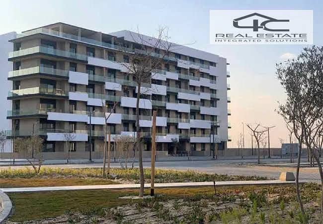 8 WhatsApp Image 2025-10-25 at 11.20. 44 PM (4). jpeg