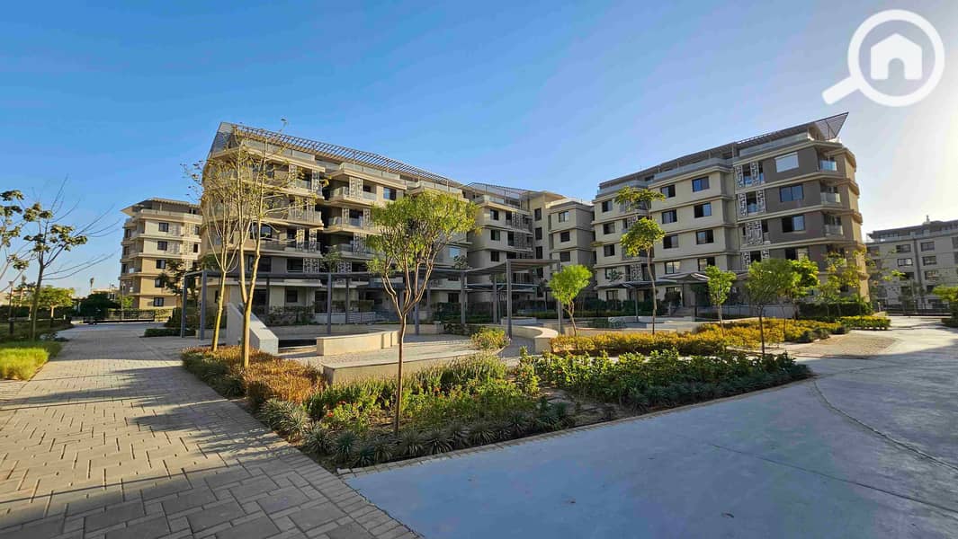 21 20251002_172111. jpg