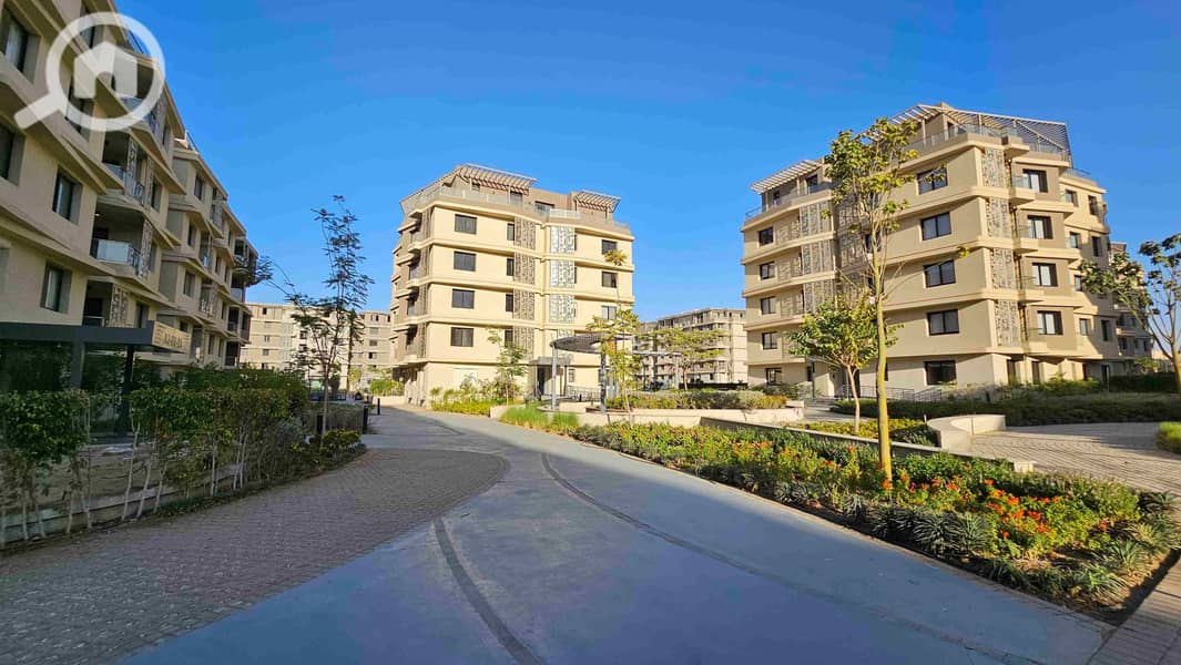 22 20251002_172115. jpg