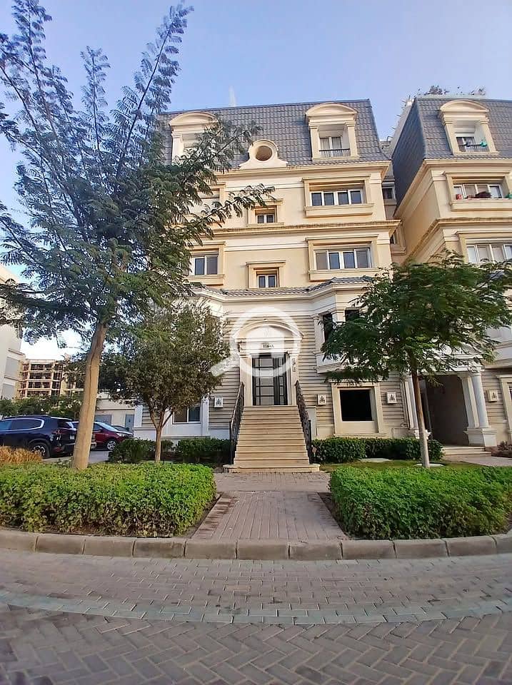 11 WhatsApp Image 2025-05-27 at 17.08. 51. jpeg