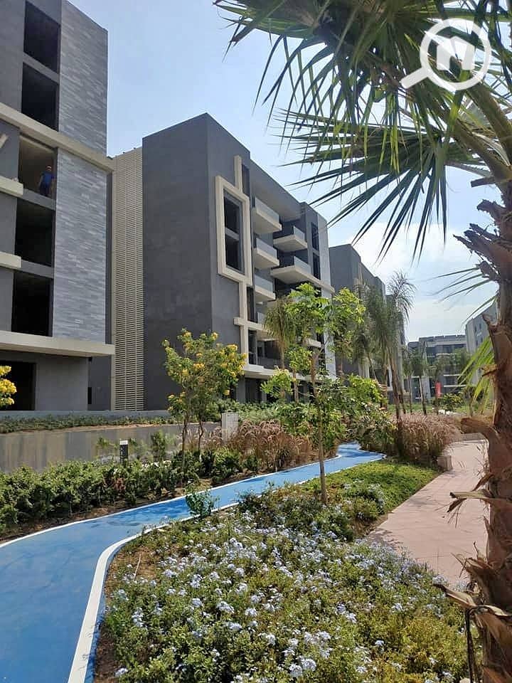 12 WhatsApp Image 2025-05-27 at 14.25. 37. jpeg