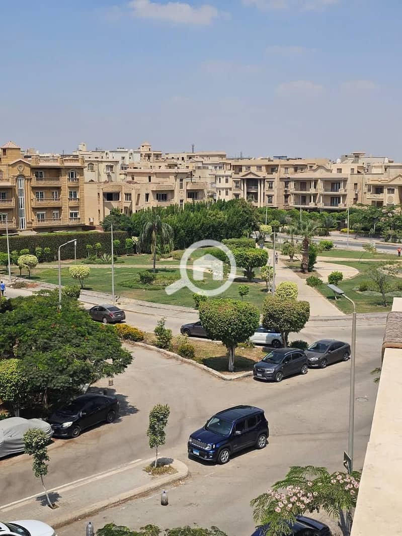 4 photo_1_2025-10-26_00-50-34. jpg