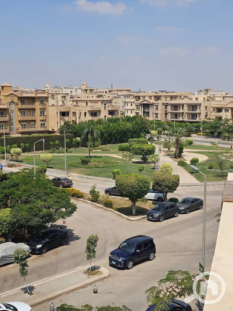 8 photo_1_2025-10-26_00-50-34. jpg