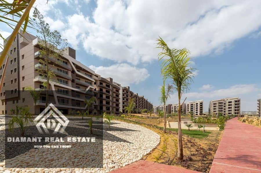 6 WhatsApp Image 2025-07-19 at 5.47. 35 PM (3). jpeg