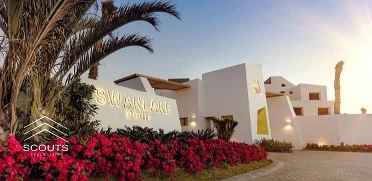 9 559063563_122094273969062783_3215633009763726057_n. jpg